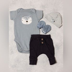 Bundled blue fox newborn outfit
